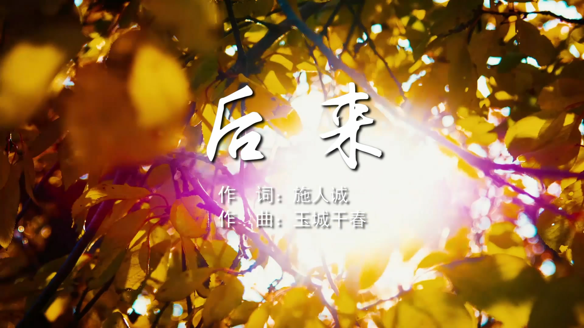 后来 刘若英MV字幕版配乐伴奏舞台演出LED背景视频素材TV