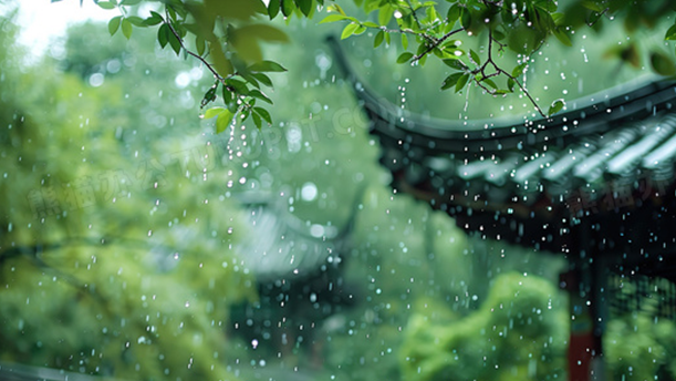 等你在雨中——关于经典散文的朗诵经典篇目