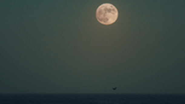 月夜到黎明——关于经典散文的朗诵经典篇目