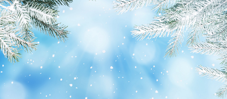 早冬——关于古风诗词的朗诵经典篇目