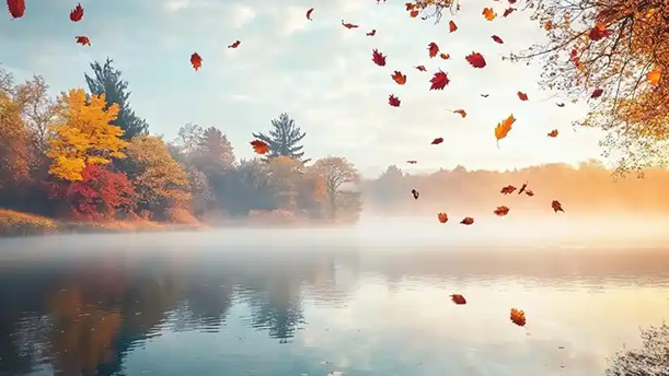 我用风打开——关于经典散文的朗诵经典篇目