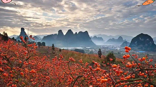 红岩村——关于党政祖国的朗诵经典篇目