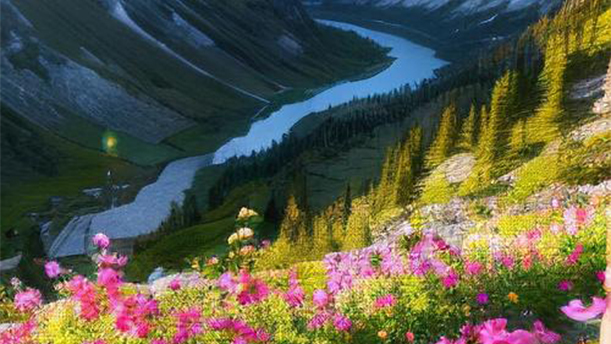 如果我是——关于经典散文的朗诵经典篇目