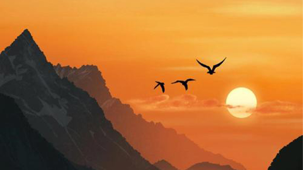 有一首歌谣——关于党政祖国的朗诵经典篇目