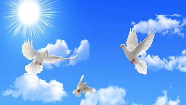 这一天——关于党政祖国的朗诵经典篇目