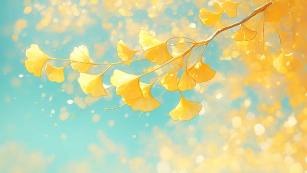 一片树叶——关于童话寓言的朗诵经典篇目