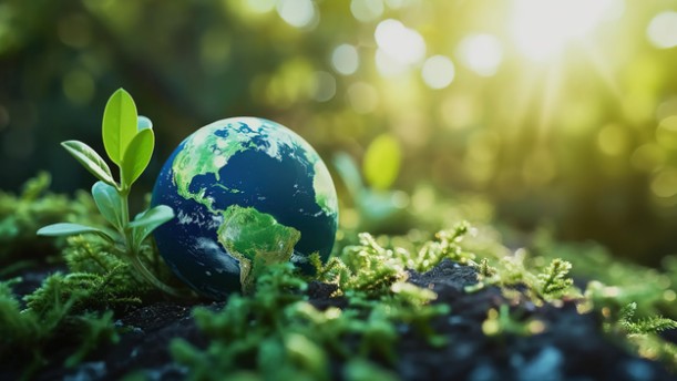 蓝眼睛和长睫毛——关于童话寓言的朗诵经典篇目