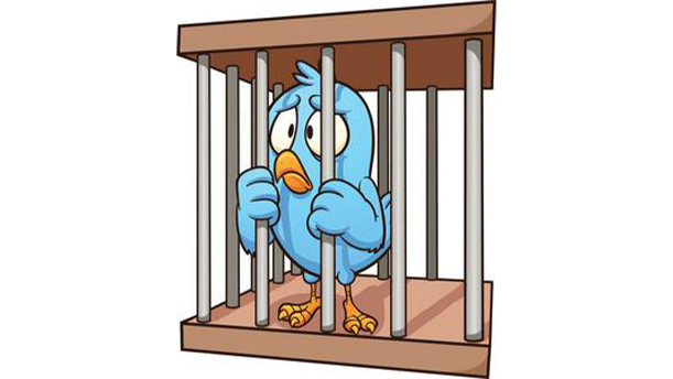 鸡笼里的小鹰——关于童话寓言的朗诵经典篇目