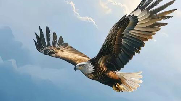 梦想飞翔——关于经典散文的朗诵经典篇目