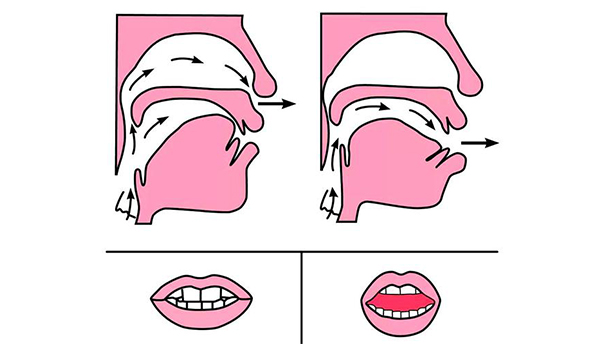 前后鼻音——关于经典散文的朗诵经典篇目