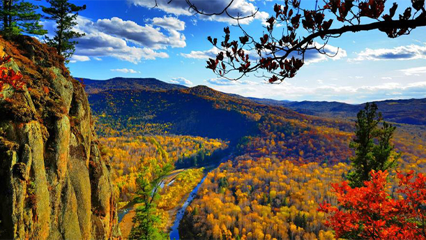 美丽的小兴安岭——关于经典散文的朗诵经典篇目