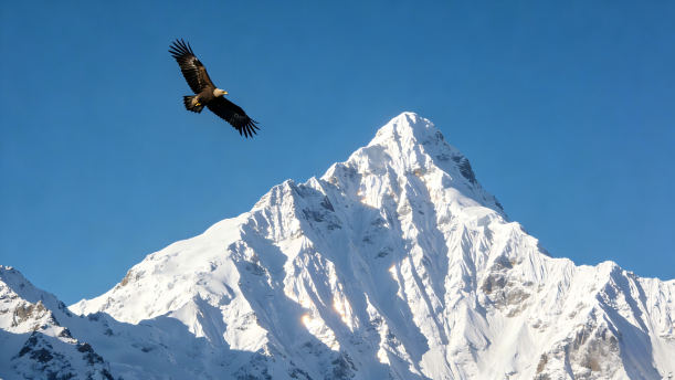 梦里雪山——关于经典散文的朗诵经典篇目