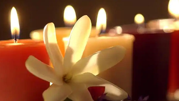 妈妈，我等了你二十年(节选)-关于经典散文的朗诵经典篇目