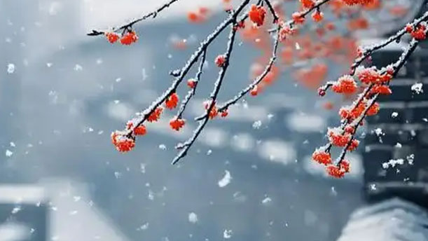 胭脂雪-关于经典散文的朗诵经典篇目