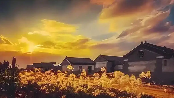 北方和它的红高粱——关于经典散文的朗诵经典篇目