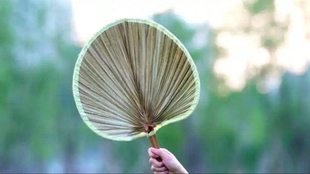 夏至:蒲扇扇来的风都是热的——关于经典散文的朗诵经典篇目
