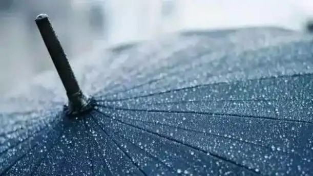 便利店的共享雨伞——关于经典散文的朗诵经典篇目