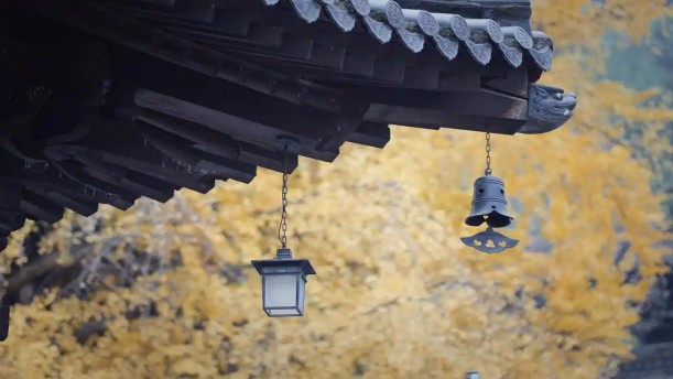 古寺的钟声——关于经典散文的朗诵经典篇目