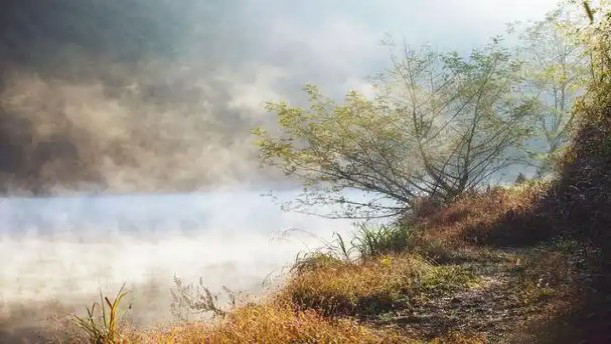 种花人的荒园——关于经典散文的朗诵经典篇目