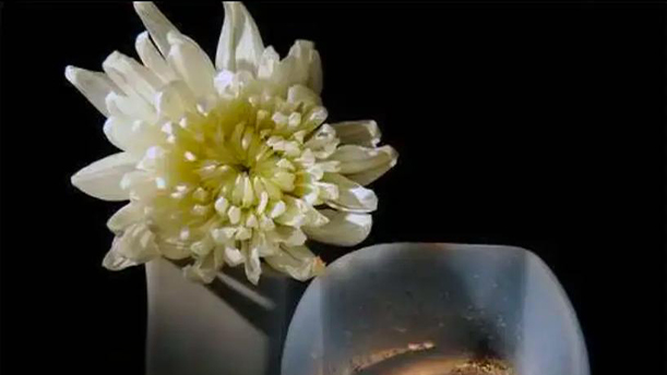 爸爸，天堂的病人将再无痛苦——关于挚爱真情的朗诵经典篇目