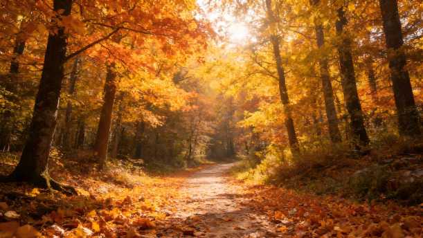 【青少年口语表达教程】5.3-即兴口语-色彩表达