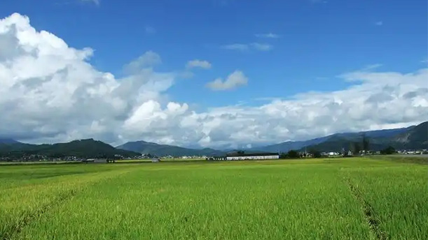 农民底歌——关于现代诗歌的演讲经典篇目