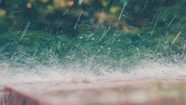 等你,在雨中——关于现代诗歌的演讲经典篇目