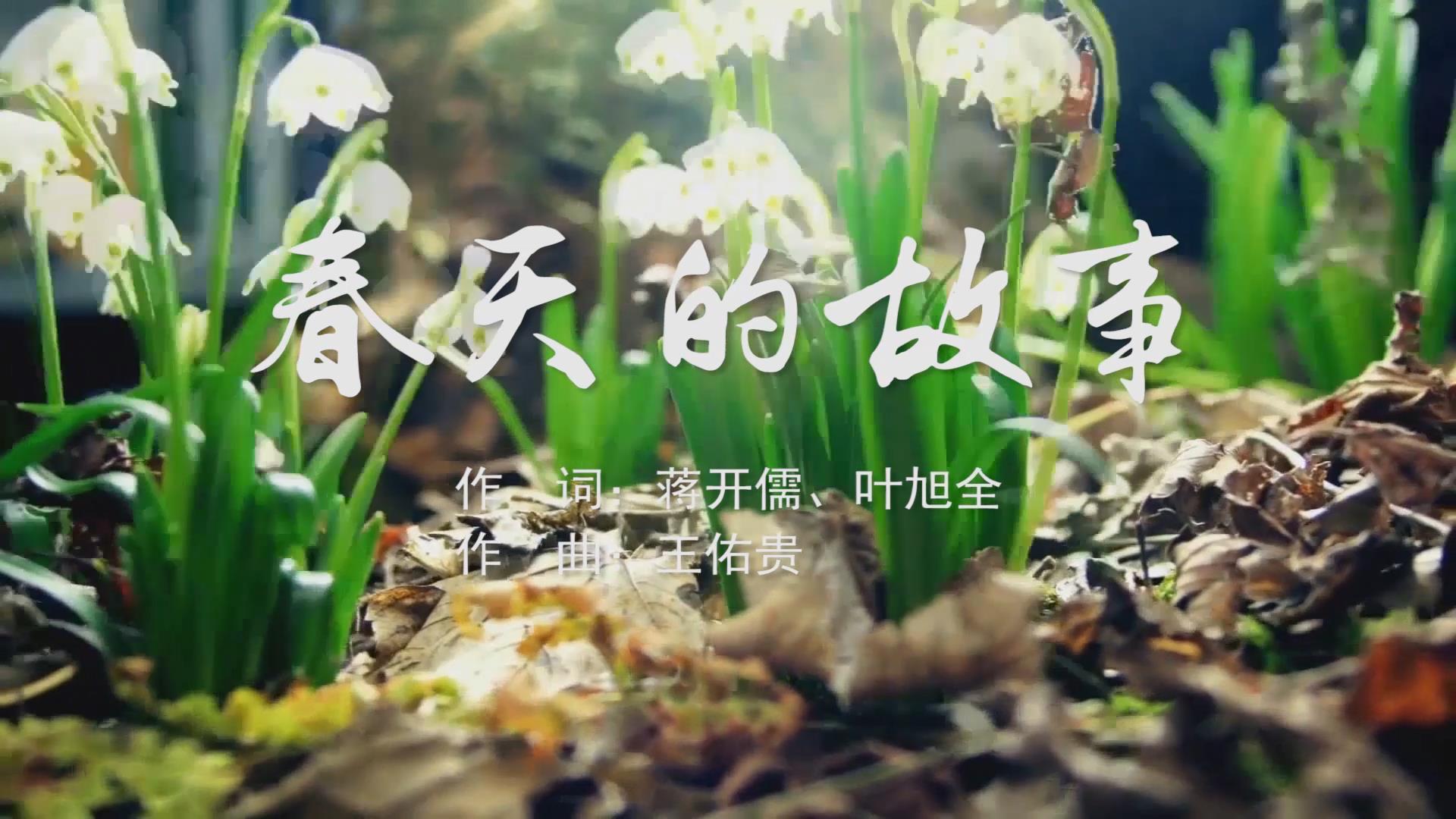 春天的故事 MV字幕配乐伴奏舞台演出LED背景大屏幕视频素材TV