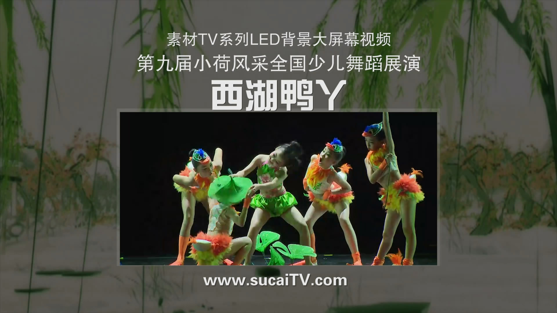 西湖鸭丫 小荷风采全国少儿童舞蹈背景视频LED大