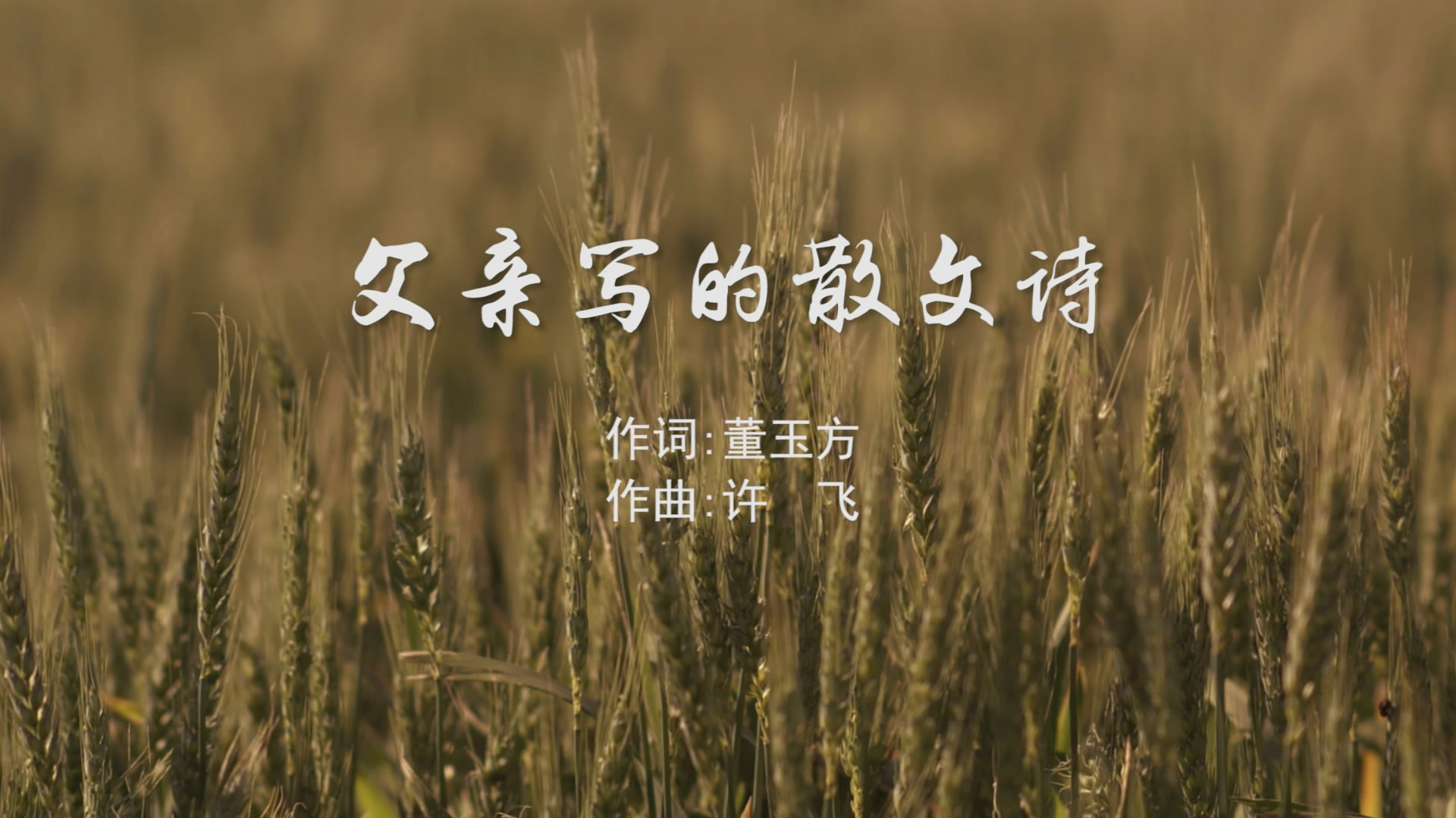 父亲写的散文诗 刘乐瑶版MV字幕配乐伴奏中国新