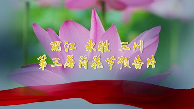 丽江永胜荷花节片头高清LED背景大屏幕视频素材